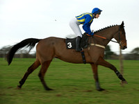 Ladies 7