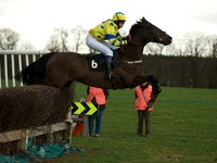 Ladies 11