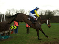 Ladies 14