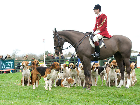 Pytchley - Hounds and friends 5