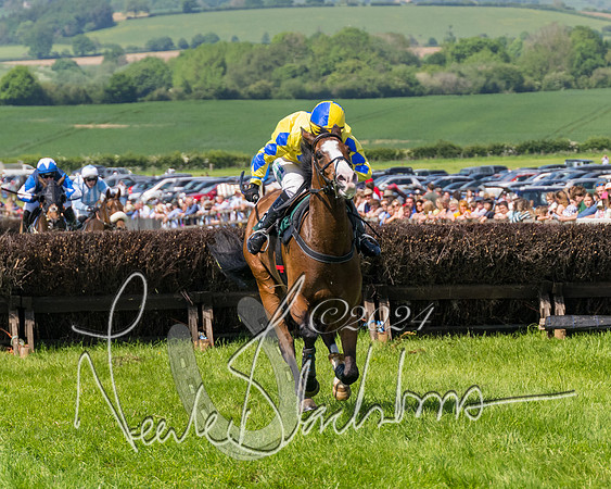Race 2 - The Maiden  (294 of 442)