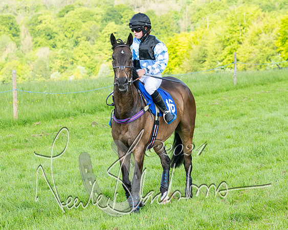 Race 5  - Maiden race 2m5F Div-2 (119 of 205)