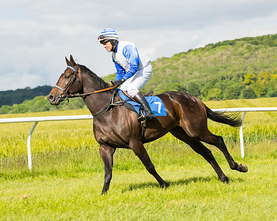 Race 5 - Restricted  (17 of 136)