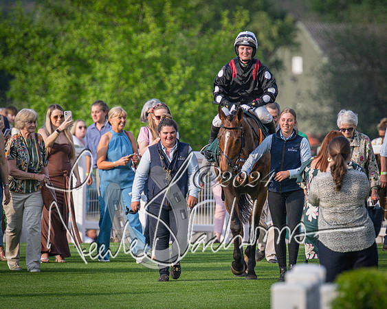 Race 4 - The Jonathan Neesom memorial open Hunter’s steeplechase 3m2f 70y (121 of 167)