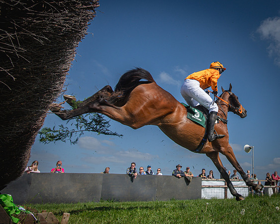 Race 4 - Novice Riders Final (51 of 97)