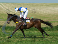 picture-10