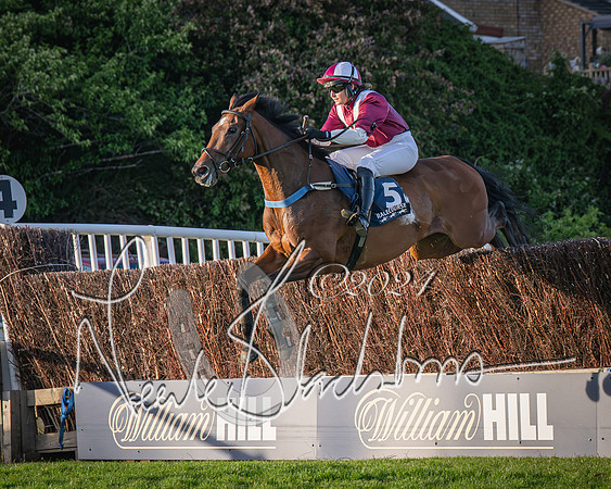 Race 5 - tipsterreviews.co.uk handicap (31 of 107)