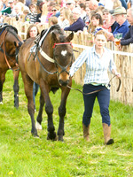 Old Berks at Lockinge Members Race