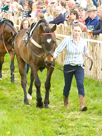 Old Berks at Lockinge Members Race