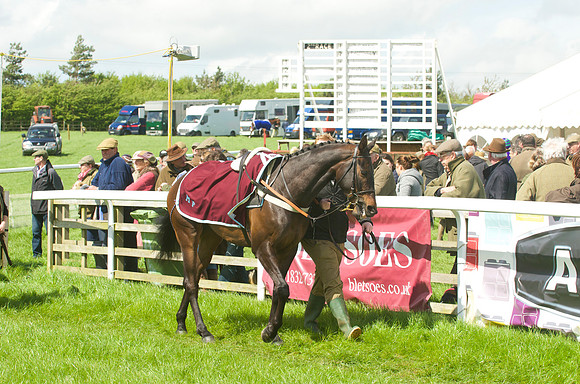 Race 2 - Open Maiden  8