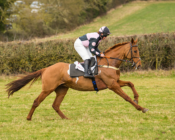 Race 3 - Restricted  (24 of 100)