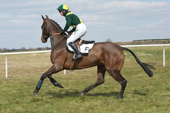 Race 2 -  14