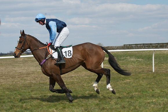 Race 2 -  17