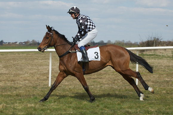 Race 2 -  24