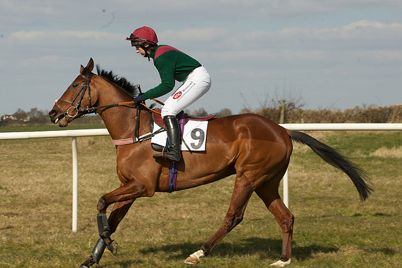 Race 4 -  17