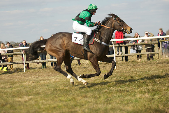 Race 4 -  50