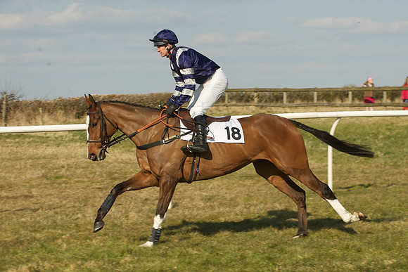 Race 5 -  9