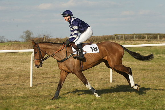 Race 5 -  10