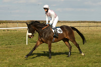 Race 5 -  11