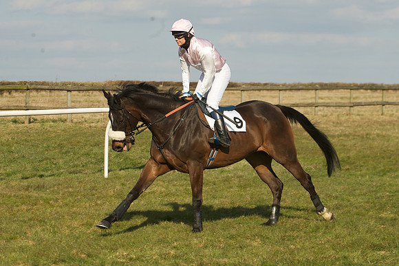 Race 5 -  11