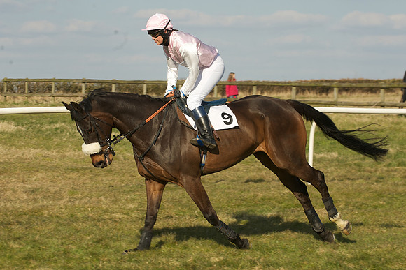 Race 5 -  12