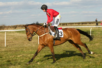 Race 5 -  17