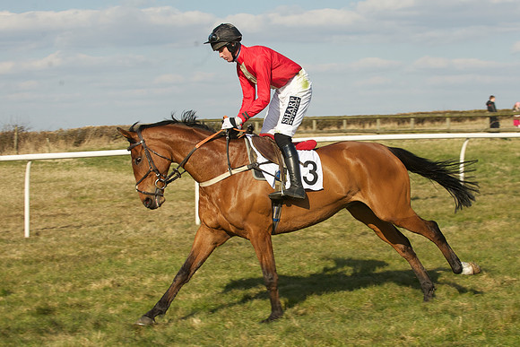 Race 5 -  17