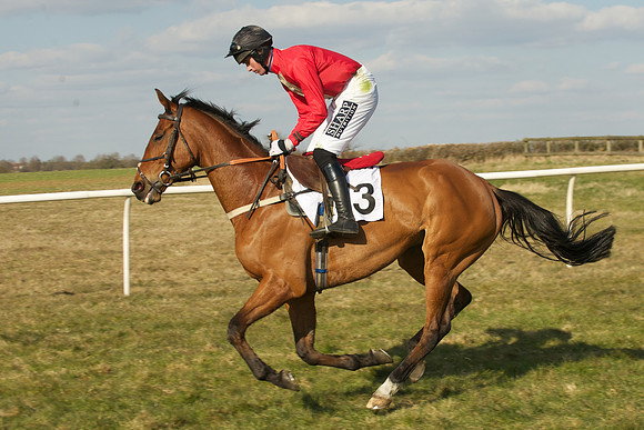 Race 5 -  19