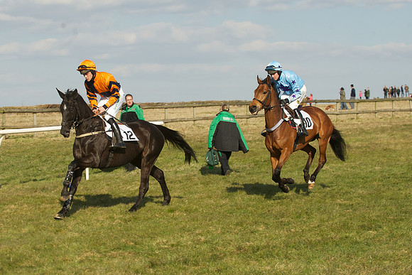 Race 5 -  20