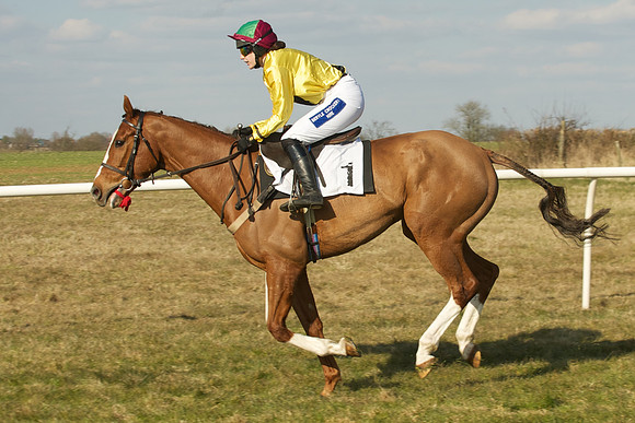 Race 5 -  24