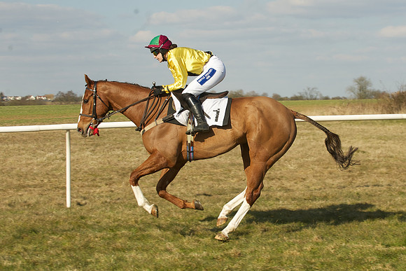 Race 5 -  25