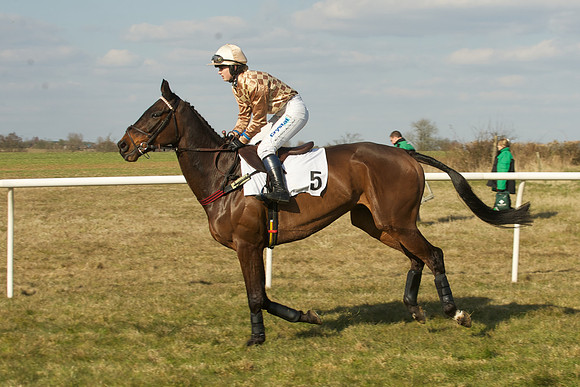 Race 5 -  26