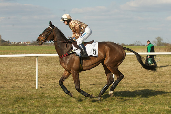Race 5 -  27