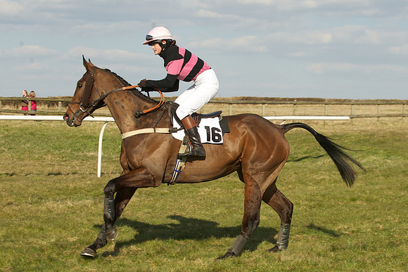 Race 5 -  28