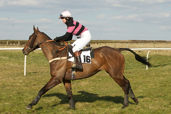 Race 5 -  29