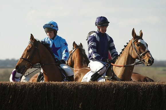 Race 5 -  30