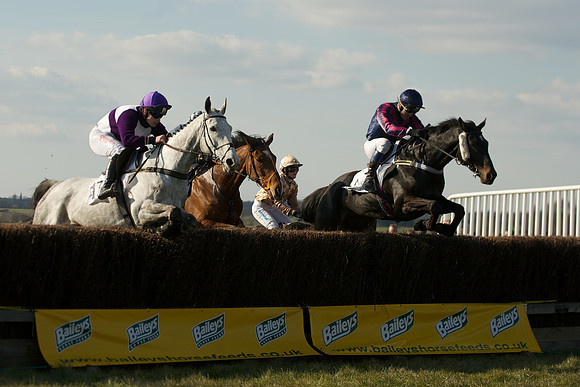 Race 5 -  31
