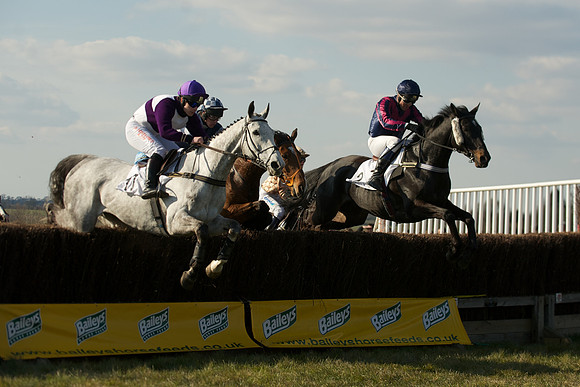 Race 5 -  32