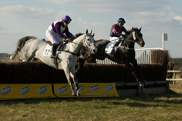 Race 5 -  33