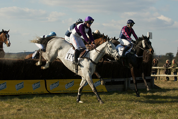 Race 5 -  34