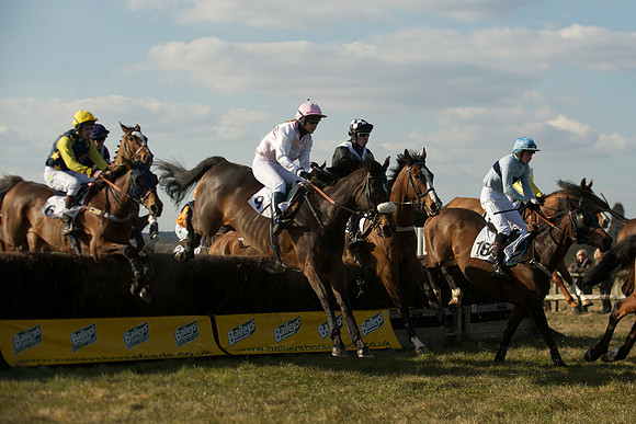Race 5 -  35