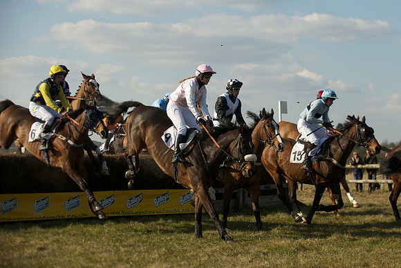 Race 5 -  36