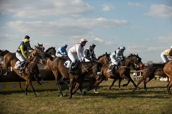 Race 5 -  37