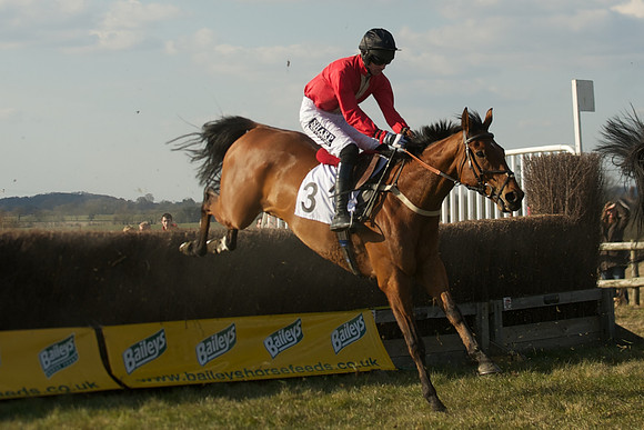 Race 5 -  38