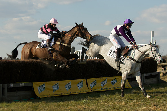 Race 5 -  41