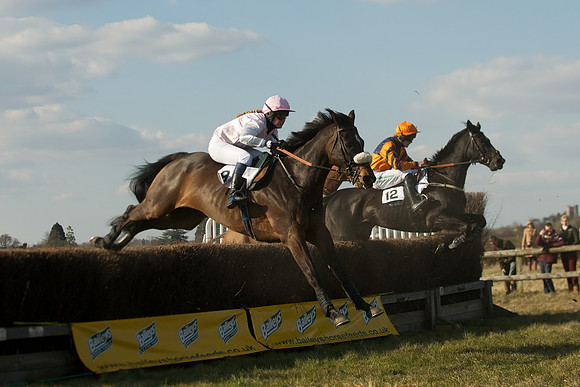 Race 5 -  43