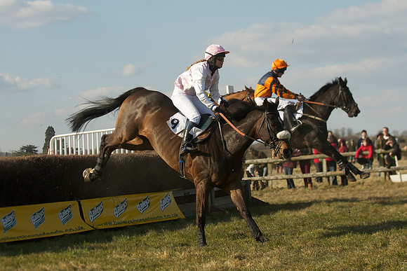 Race 5 -  44