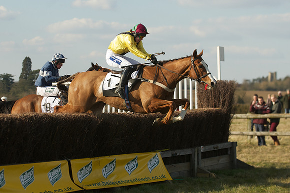 Race 5 -  46