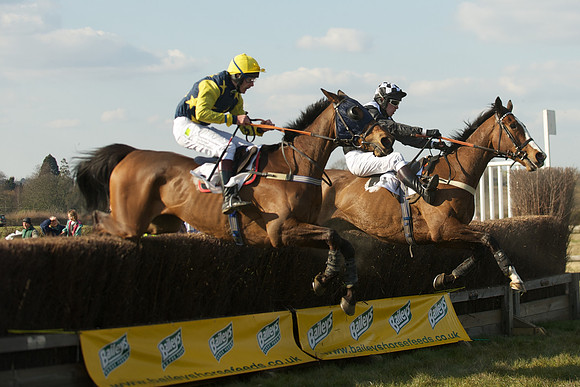 Race 5 -  50