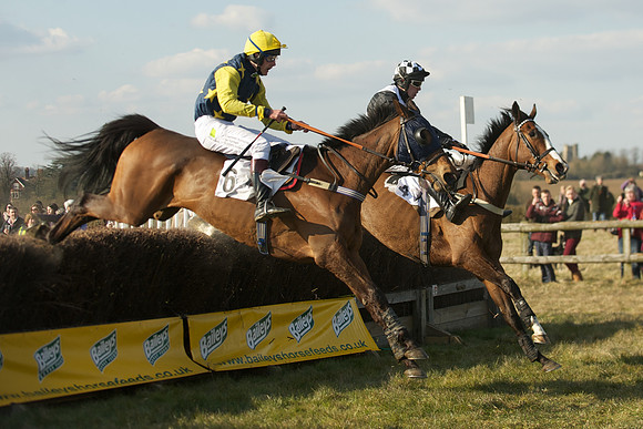 Race 5 -  51